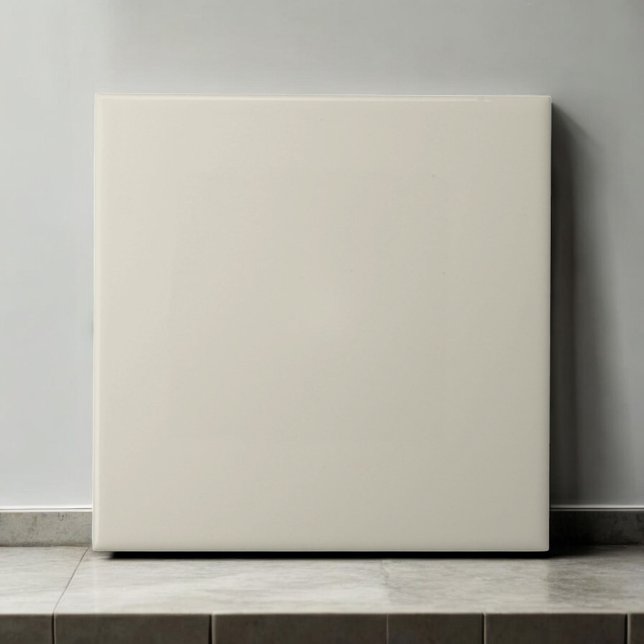 Elegant Monochrome Porcelain Modern Minimalist Tile (Creator Uploaded)