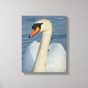 Elegant Mute Swan Waterbird on the Lake Canvas Print