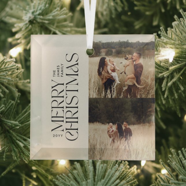 Elegant natural foliage modern minimal multi photo glass tree decoration (Insitu)