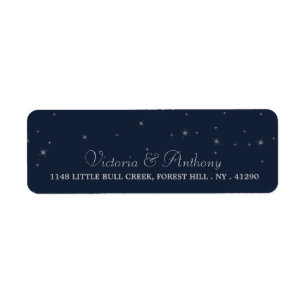 Elegant Navy & Silver Falling Stars Wedding