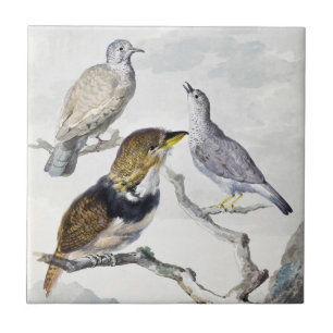 Elegant Neutral Tone Birds on Branch Art Tile