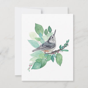 Elegant Nuthatch Watercolor Note Card