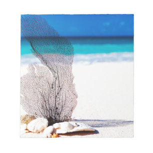 Elegant Ocean Coastal Shells Beach Notepad