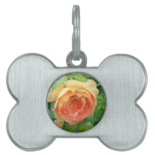 Elegant Orange Blush Rose Pet Name Tag