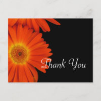 Elegant orange gerbera daisy flowers wedding favou