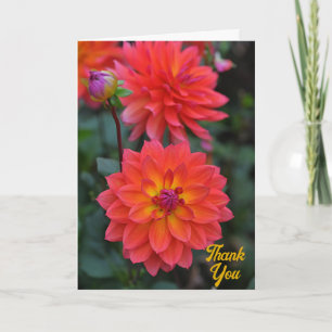 Elegant Orange Yellow Orchid Flower Thank You Card