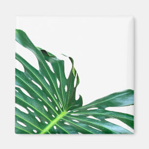 Elegant Palm Leaf tropical jungle rainforest leaf Magnet