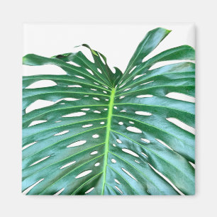 Elegant Palm Leaf tropical jungle rainforest leaf Magnet