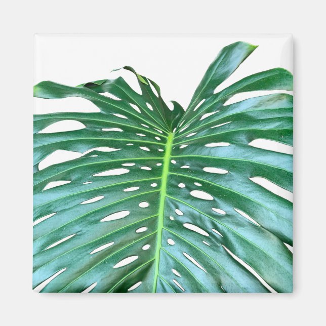 Elegant Palm Leaf tropical jungle rainforest leaf Magnet (Front)
