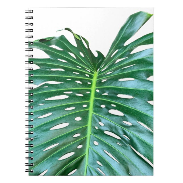 Elegant Palm Leaf tropical jungle rainforest leaf Notebook (Front)