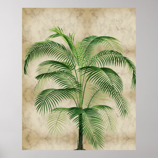 Elegant Palm Tree Vintage Tropical Marble Poster (Front)