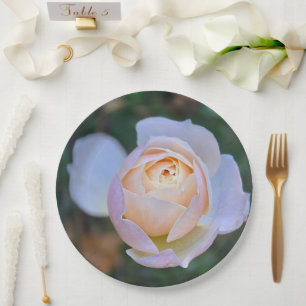 Elegant Pastel Pink Yellow Rose Paper Plate