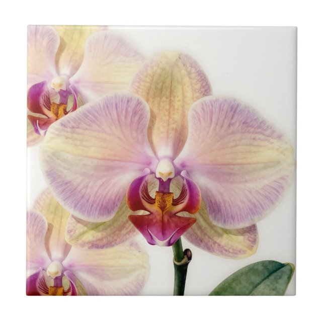 Elegant Pastel Purple Orchid Bloom Tile (Front)
