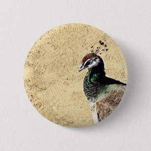 Elegant Peacock Bird and Feather Artwork 6 Cm Round Badge