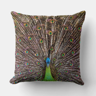 Elegant Peacock Bird and Feather Artwork Cushion