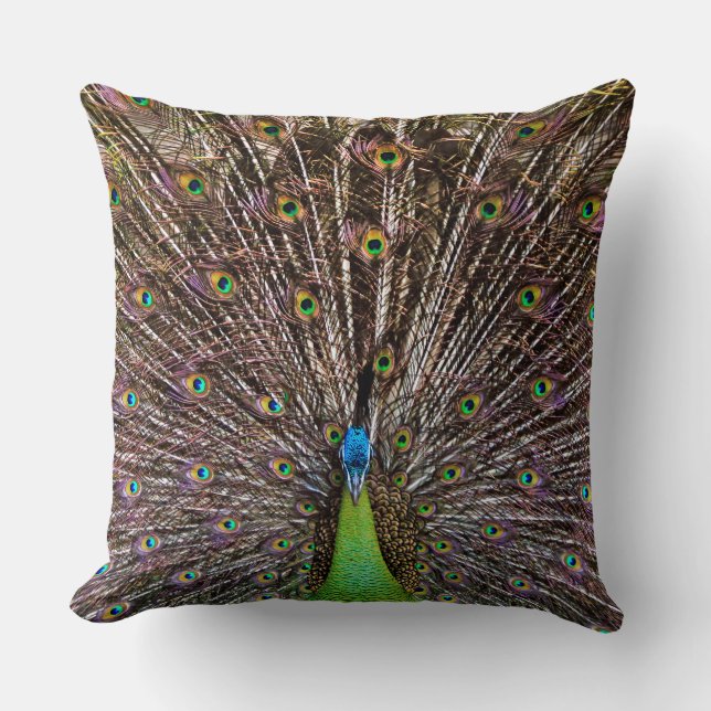 Elegant Peacock Bird and Feather Artwork Cushion (Front)