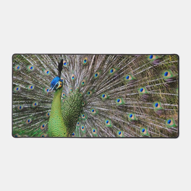 Elegant Peacock Bird and Feather Artwork Desk Mat (Front)