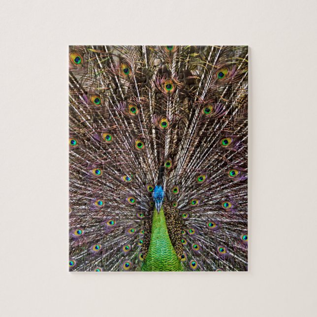 Elegant Peacock Bird and Feather Artwork Jigsaw Puzzle (Vertical)