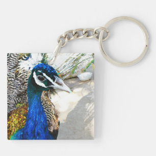 Elegant Peacock Bird and Feather Artwork Key Ring
