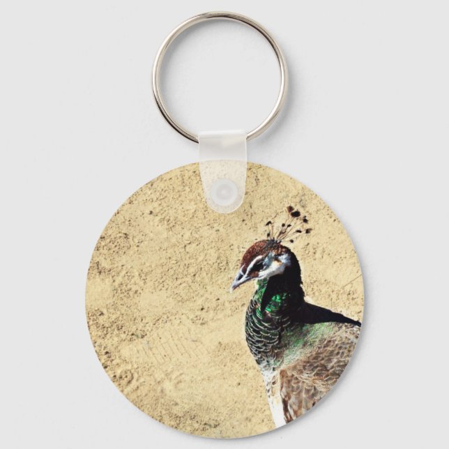Elegant Peacock Bird and Feather Artwork Key Ring (Front)