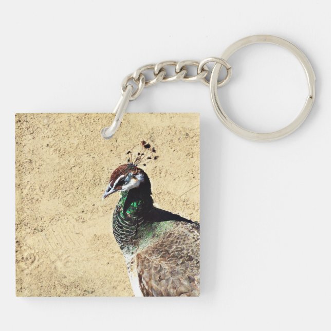 Elegant Peacock Bird and Feather Artwork Key Ring (Back)