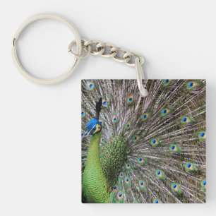 Elegant Peacock Bird and Feather Artwork Key Ring