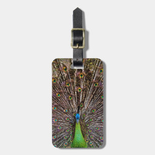 Elegant Peacock Bird and Feather Artwork Luggage Tag