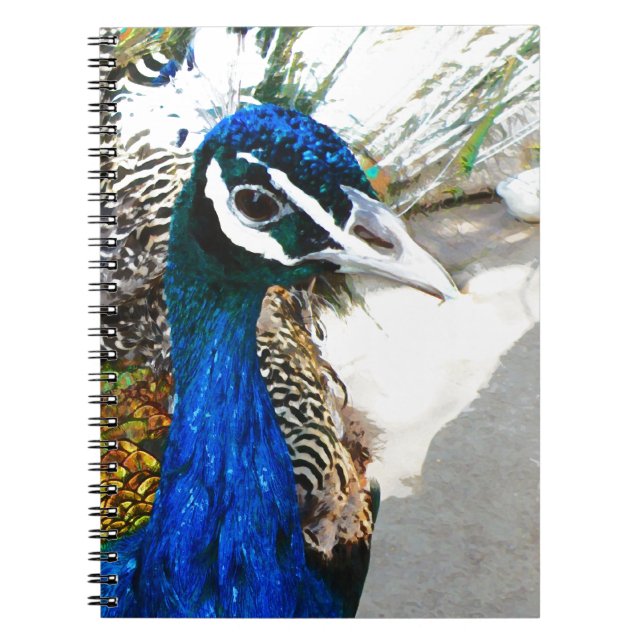 Elegant Peacock Bird and Feather Artwork Notebook (Front)