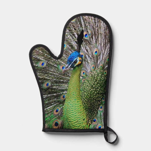 Elegant Peacock Bird and Feather Artwork Oven Mitt (Front)