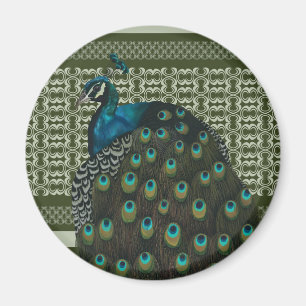 Elegant Peacock Bird Bird Lovers Magnet