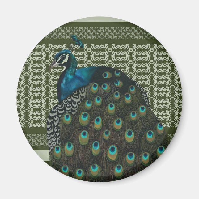 Elegant Peacock Bird Bird Lovers Magnet (Front)