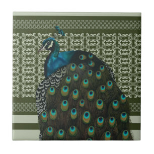 Elegant Peacock Bird Bird Lovers Tile