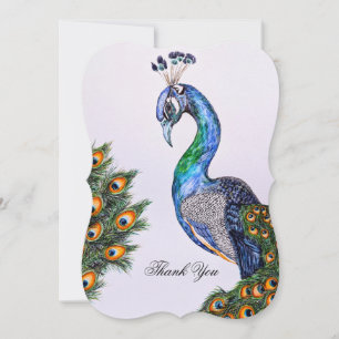 Elegant Peacock Custom Greeting Card