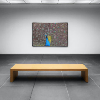 Elegant Peacock In Blue With Fanned Tail Poster