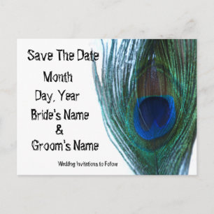 Elegant Peacock Save the Date Announcement Postcard
