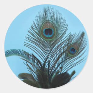 Elegant Peacock Sticker (turquoise)