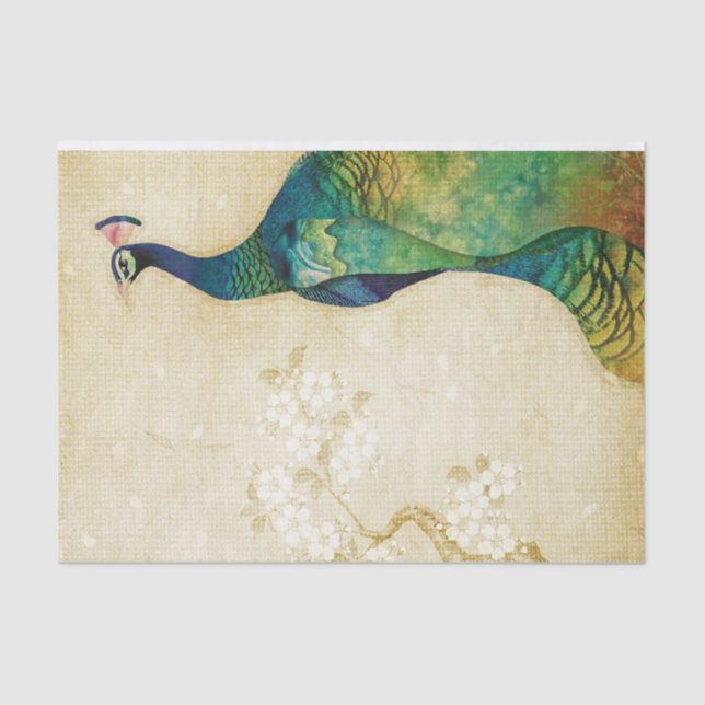 Elegant Peacock Tissue Paper (Front)