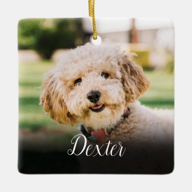 Elegant Pet Memorial Photo Cat Dog Square Ceramic Ornament (Front)