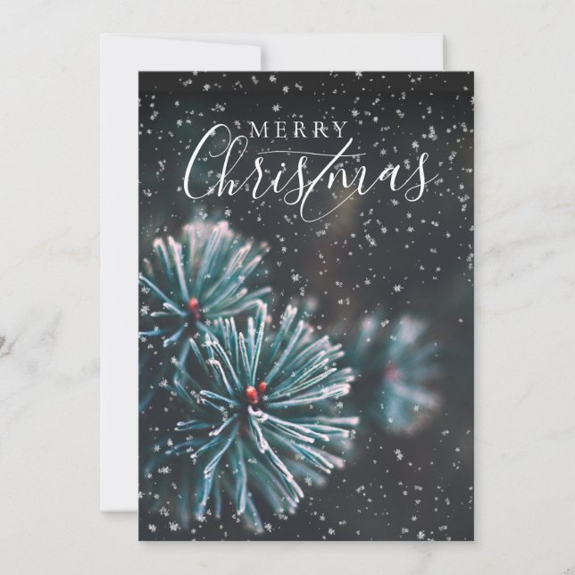 Elegant Photo Merry Christmas Fir Bough Snow Holiday Card (Front)