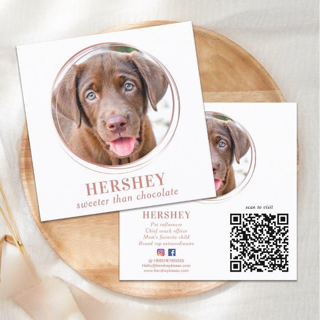 Elegant Photo Rose Gold Dog Pet Social Media Square Business Card (Creator Uploaded)