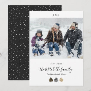Elegant Pine Cones Photo Holiday Cards