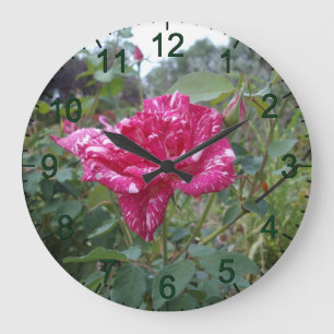 Elegant Pink And White Striped Rose, Wall Clock