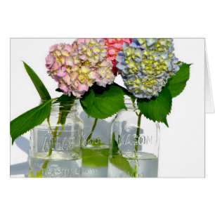Elegant pink blue green floral hydrangea 
