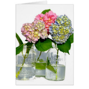 Elegant pink blue green floral hydrangea