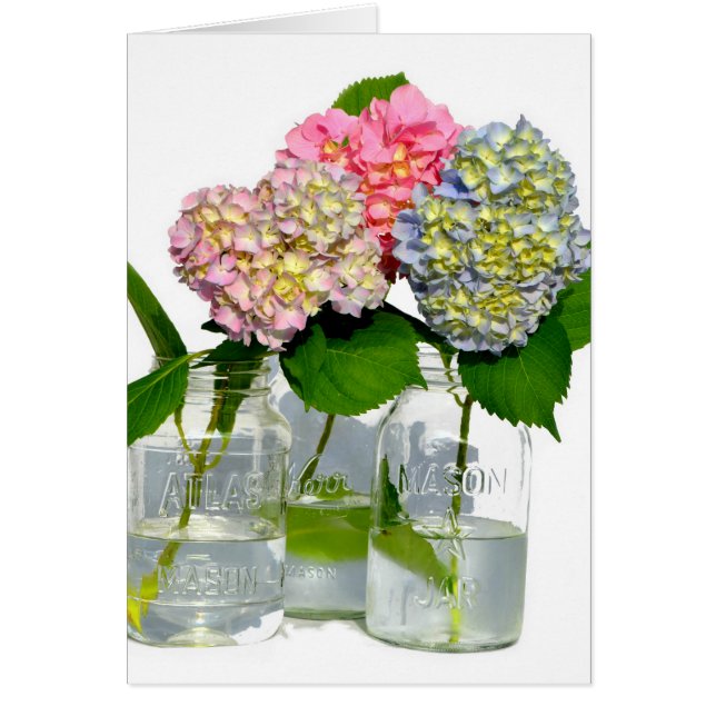 Elegant pink blue green floral hydrangea  (Front)