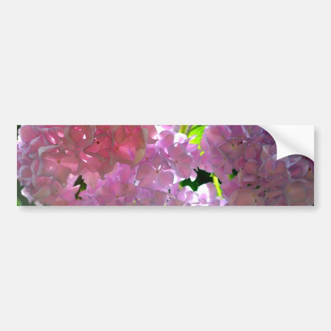 Elegant pink boho florals flowers hydrangeas bumper sticker (Front)