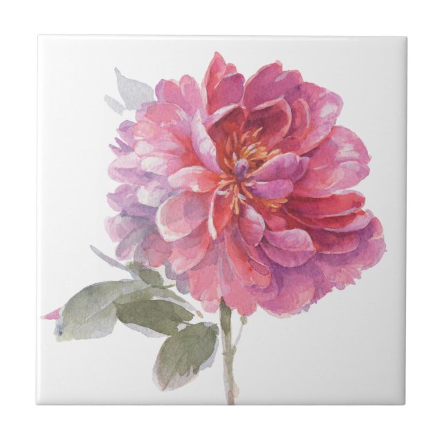 Elegant Pink Botanical Watercolor Tile (Front)