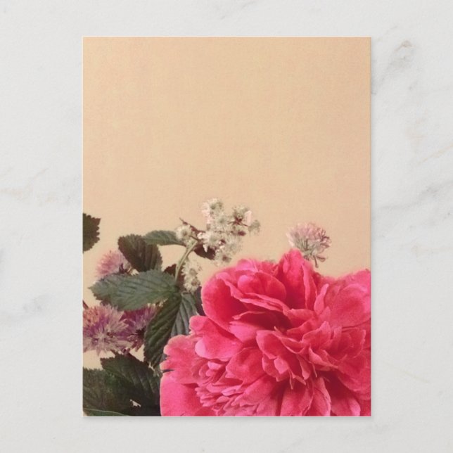 Elegant Pink Cream Floral Postcard (Front)