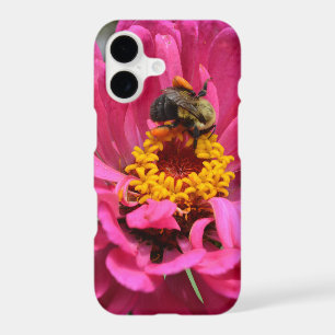 Elegant pink floral flower mum daisy honeybee