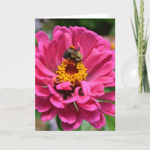 Elegant pink floral flower mum daisy honeybee card